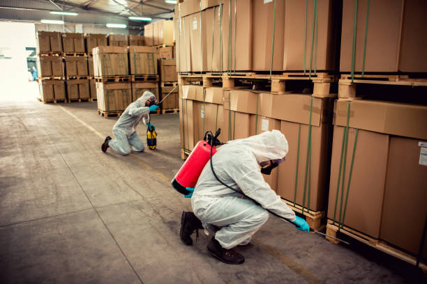 Trusted Norwalk, CT Pest Control Experts