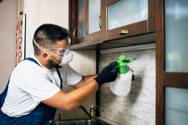 Best Ant Control Services  in Norwalk, CT