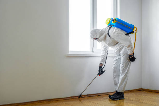 Best Commercial Pest Control Services  in Norwalk, CT