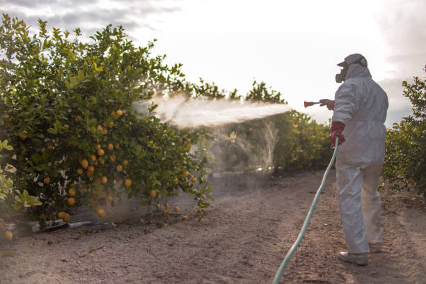 Best Best Pest Control Near Me  in Norwalk, CT