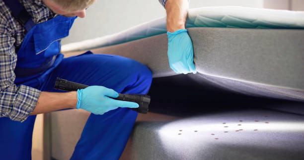 Best Affordable Pest Control Services  in Norwalk, CT