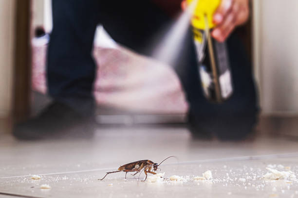 Best Pest Inspection Near Me  in Norwalk, CT